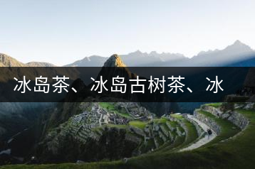 冰島茶、冰島古樹(shù)茶、冰島茶區(qū)茶、冰島茶區(qū)古樹(shù)茶