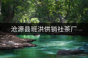 滄源縣班洪供銷(xiāo)社茶廠