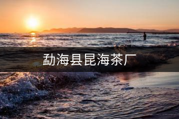 勐?？h昆海茶廠