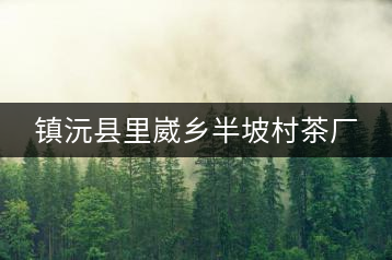 鎮(zhèn)沅縣里崴鄉(xiāng)半坡村茶廠