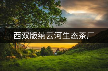 西雙版納云河生態(tài)茶廠