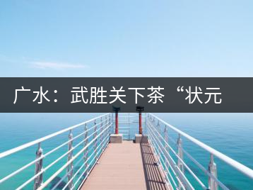 廣水:武勝關(guān)下茶“狀元”成了全國科普帶頭人