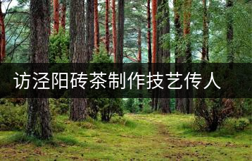 訪(fǎng)涇陽(yáng)磚茶制作技藝傳人、陜西省非遺傳承人賈根社