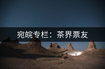 宛皖專欄:茶界票友