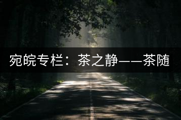 宛皖專(zhuān)欄:茶之靜——茶隨我而靜