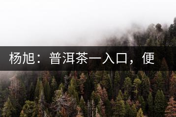 楊旭：普洱茶一入口，便知產(chǎn)地和年份