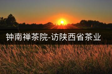 鐘南禪茶院-訪(fǎng)陜西省茶業(yè)協(xié)會(huì)副秘書(shū)長(zhǎng)楊元