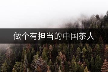 做個(gè)有擔(dān)當(dāng)?shù)闹袊枞? decoding=