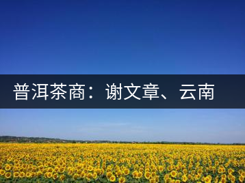 普洱茶商：謝文章、云南谷申商貿(mào)有限公司總經(jīng)理