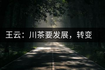 王云：川茶要發(fā)展，轉變思想是關鍵