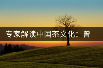 專家解讀中國(guó)茶文化:曾征服征服沙皇