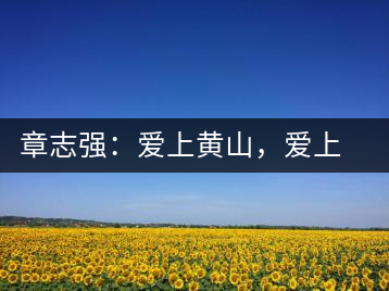 章志強(qiáng)：愛(ài)上黃山，愛(ài)上黃山的茶