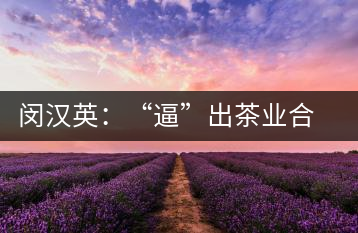 閔漢英：“逼”出茶業(yè)合作社，帶領(lǐng)村民走上致富路