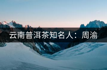 云南普洱茶知名人:周渝