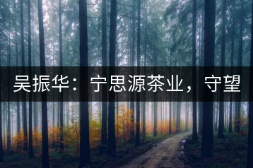 吳振華：寧思源茶業(yè)，守望家鄉(xiāng) 做好“金獎(jiǎng)茶王”