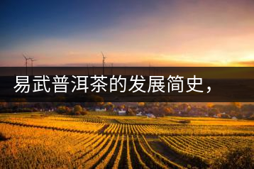 易武普洱茶的發(fā)展簡史，昔日的貢茶如今依然輝煌