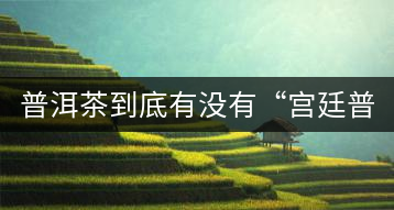 普洱茶到底有沒(méi)有“宮廷普洱”一說(shuō)？它到底是什么？