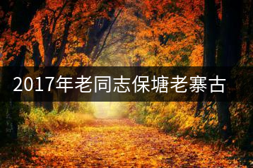 2017年老同志保塘老寨古樹(shù)茶開(kāi)湯品鑒
