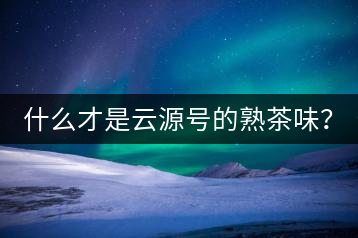 什么才是云源號(hào)的熟茶味？