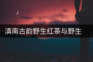 滇南古韻野生紅茶與野生古樹紅茶開湯對比