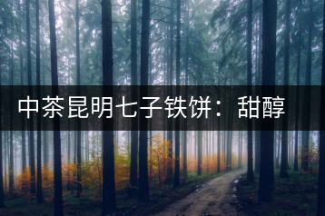 中茶昆明七子鐵餅：甜醇甘潤(rùn)，陳韻綿長(zhǎng)