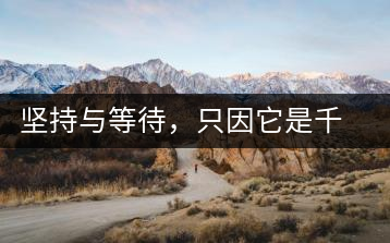 堅持與等待，只因它是千山之外