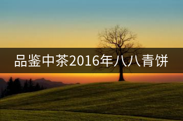 品鑒中茶2016年八八青餅