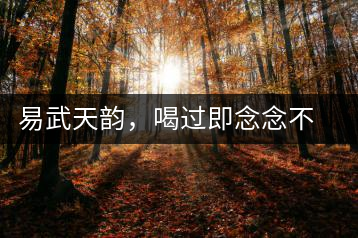 易武天韻，喝過(guò)即念念不忘的茶中皇后