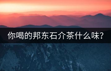 你喝的邦東石介茶什么味？