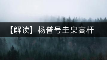 【解讀】楊普號(hào)圭臬高桿茶：形高、氣足、韻遠(yuǎn)的一款茶