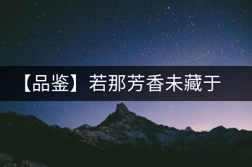 【品鑒】若那芳香未藏于樟野，怎會這般獨具韻味？