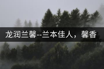 龍潤(rùn)蘭馨–蘭本佳人，馨香高雅