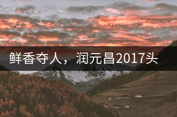 鮮香奪人，潤(rùn)元昌2017頭采小青柑即將上市