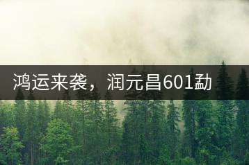 鴻運(yùn)來襲，潤(rùn)元昌601勐海紅韻熟茶即將上市