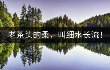 老茶頭的柔，叫細水長流！