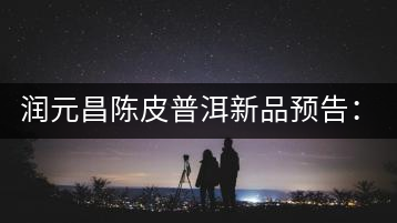 潤元昌陳皮普洱新品預(yù)告:【金絲單泡裝】&【醇真】