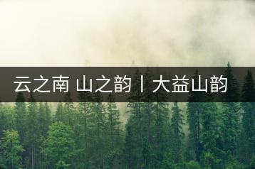 云之南 山之韻丨大益山韻，“韻”味傳奇之山韻歸來