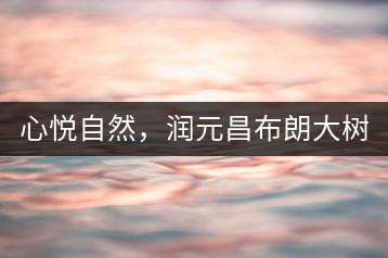 心悅自然，潤(rùn)元昌布朗大樹(shù)標(biāo)桿601千山悅即將上市
