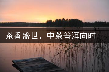 茶香盛世，中茶普洱向時(shí)代獻(xiàn)禮