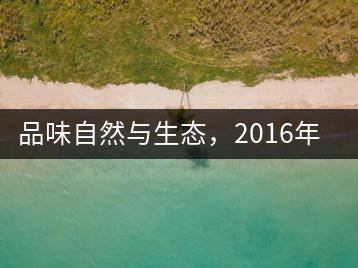 品味自然與生態(tài)，2016年勐傣“大雪山古樹茶”