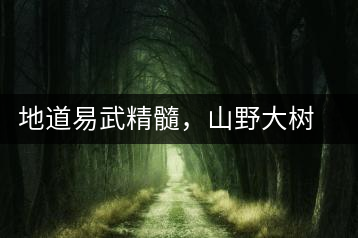 地道易武精髓，山野大樹(shù)珍品—普秀易武生態(tài)喬木圓茶即將上市