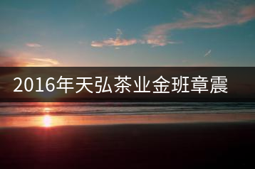 2016年天弘茶業(yè)金班章震撼上市！