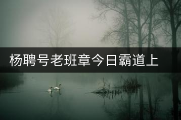楊聘號(hào)老班章今日霸道上市