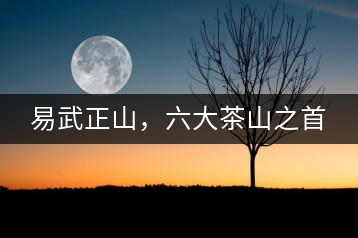 易武正山，六大茶山之首