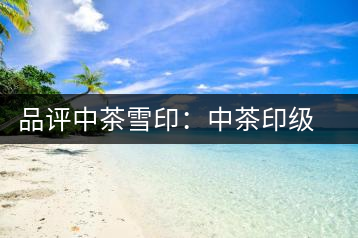 品評中茶雪?。褐胁栌〖壊璧慕?jīng)典傳承