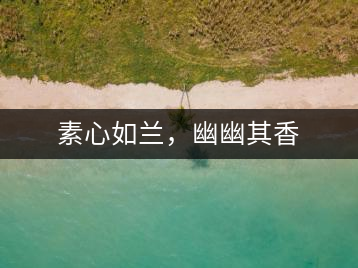 素心如蘭，幽幽其香