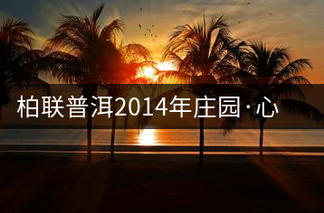 柏聯(lián)普洱2014年莊園·心境開湯