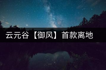 云元谷【御風】首款離地渥堆發(fā)酵熟茶開湯品飲