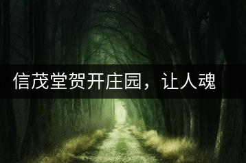 信茂堂賀開(kāi)莊園，讓人魂?duì)繅?mèng)繞的名山古樹(shù)茶