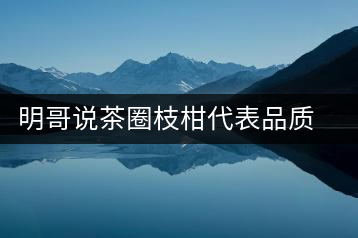 明哥說茶圈枝柑代表品質(zhì)高點，是玩家級的產(chǎn)品